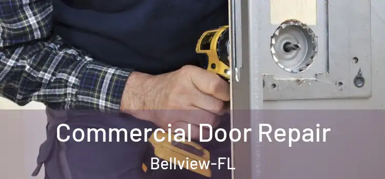 Commercial Door Repair Bellview-FL