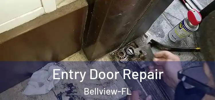  Entry Door Repair Bellview-FL