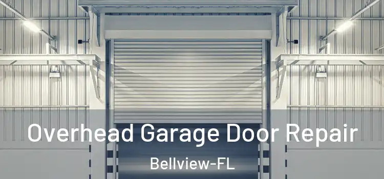  Overhead Garage Door Repair Bellview-FL