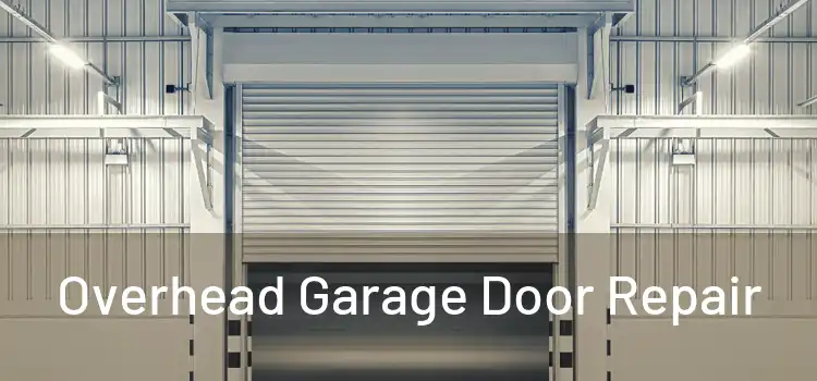  Overhead Garage Door Repair 